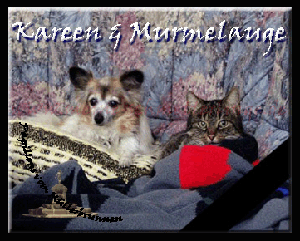 Bild Murmel und Kareen